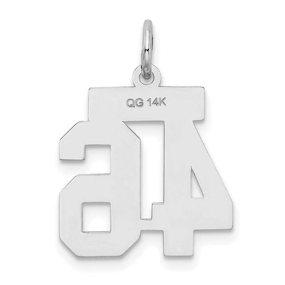 14k White Gold, Jersey Collection, Small Number 46 Pendant - Picture 3 of 5